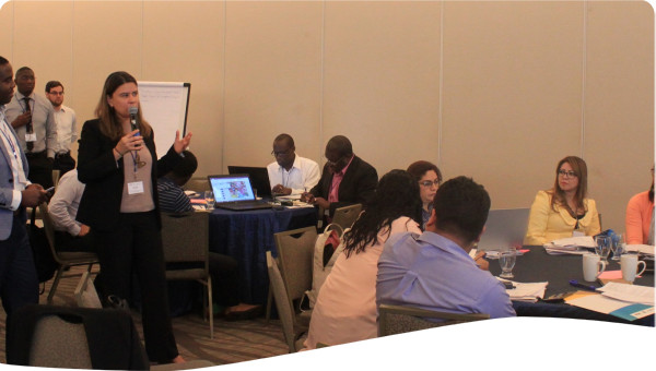 Regulatory Bodies and Enforcement Agencies