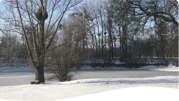 Repayable sources of finance for water