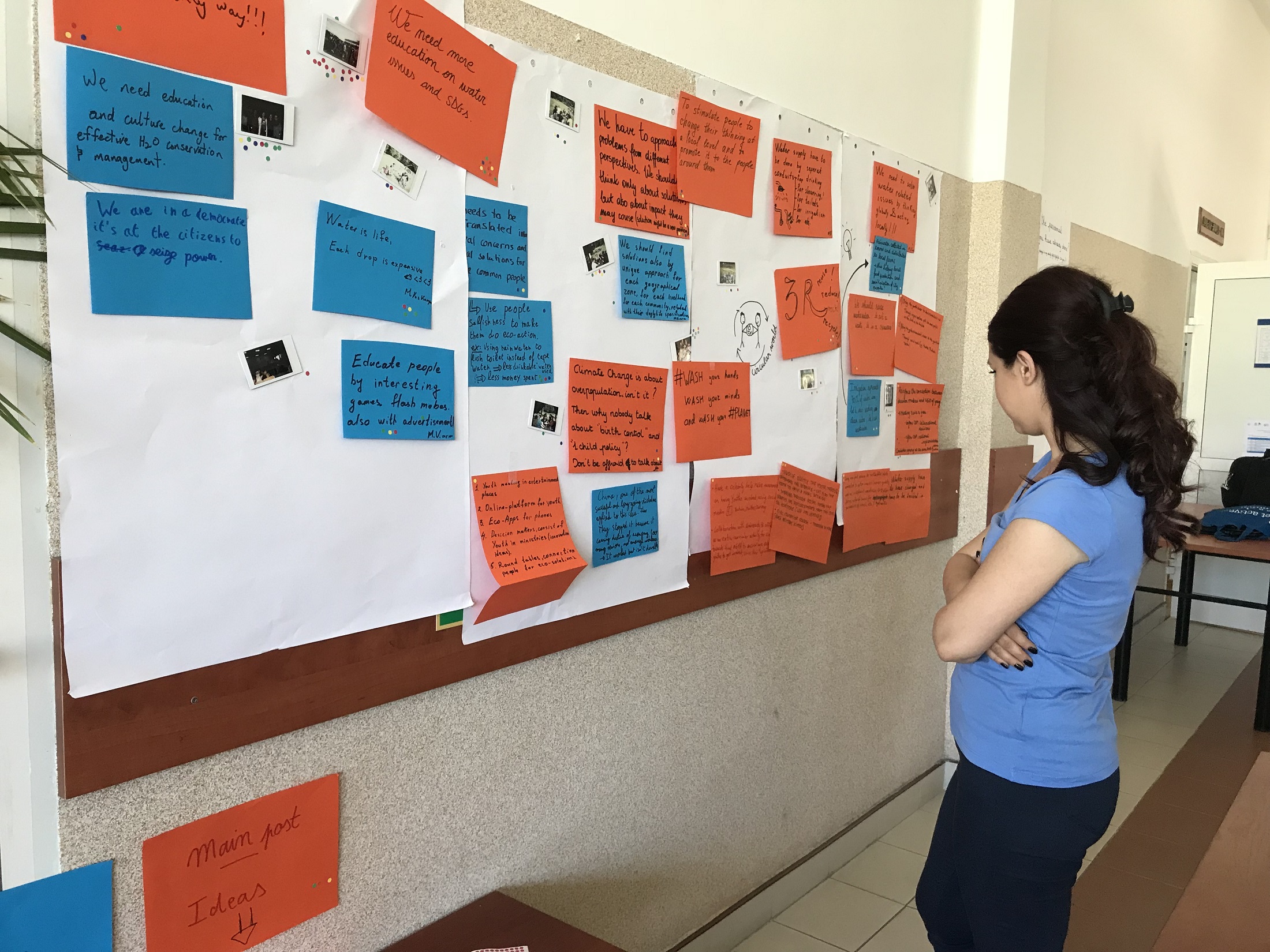 Impact assessment committees 