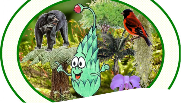 Campaña Ambiental